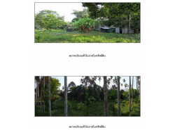 ขายบ้านมือสองพิปูน         โครงการห้า  นครศรีธรรมราช