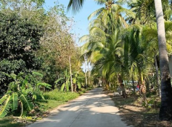 รถมือสอง อสังหาริมทรัพย์ ที่ดิน ปี 0 