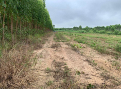 รถมือสอง อสังหาริมทรัพย์ ที่ดิน ปี 0 
