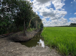 รถมือสอง อสังหาริมทรัพย์ ที่ดิน ปี 0 