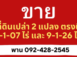 ขายที่ดินเปล่า 2 แปลงติดกัน ตำบล.ลำตาเสา อำเภอ.วังน้อย จังหวัด.พระนครศรีอยุธยา