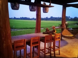 บ้านที่ดินทำเลดีที่ตั้งเยี่ยม ทรัพย์สวยให้เช่าบ้านไม้ถ่ายหนังถ่ายละคร MV โฆษณา หนังสั้น คอนเท้นท์ บ้านสวยวิวทุ่งนา ไทรน้อย 0968821857