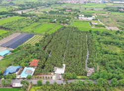 รถมือสอง อสังหาริมทรัพย์ ที่ดิน ปี 0 