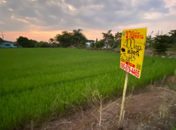 รถมือสอง อสังหาริมทรัพย์ ที่ดิน ปี 0 