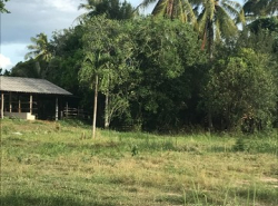 รถมือสอง อสังหาริมทรัพย์ ที่ดิน ปี 0 