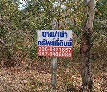 กรกฎามาบรรจบครบ 9ปีทีมขายทำการตลาด โปรเด็ดเอาใจผู้ซื้อ ขายที่ใกล้ทะเล ต.สะพลี อ.ปะทิว จ.ชุมพร ราคาคุยได้ สนใจโทรตรง 096-882-1857