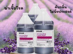 ลาเวนเฟรช Laven Fresh 