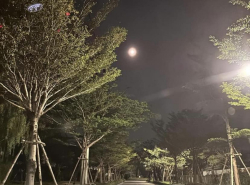 รถมือสอง อสังหาริมทรัพย์ บ้าน ปี 0 