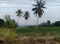 รถมือสอง อสังหาริมทรัพย์ ที่ดิน ปี 0 