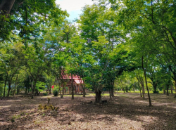 รถมือสอง อสังหาริมทรัพย์ ที่ดิน ปี 0 
