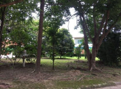 รถมือสอง อสังหาริมทรัพย์ ที่ดิน ปี 0 