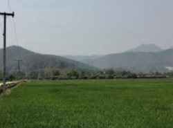 ขายที่ดินวิวเขา ในหมู่บ้านน้ำแพร่ อำเภอพร้าว จังหวัดเชียงใหม่ เนื้อที่ 3 ไร่ 2 งาน 66 ตารางวา