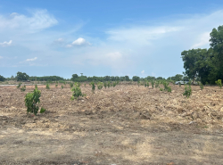 รถมือสอง อสังหาริมทรัพย์ ที่ดิน ปี 0 