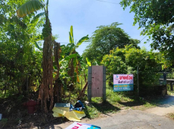 ขายที่ดิน 67 ตร.ว. ติดน้ำ ใกล้สนามบินสุวรรณภูมิ แถวลาดกระบัง พัฒนาชนบท 3 