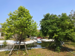 รถมือสอง อสังหาริมทรัพย์ ที่ดิน ปี 0 