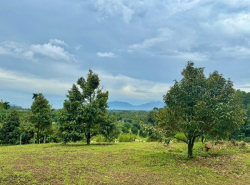 รถมือสอง อสังหาริมทรัพย์ ที่ดิน ปี 0 