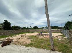 รถมือสอง อสังหาริมทรัพย์ ที่ดิน ปี 0 