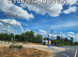 ขายที่ดินเจ้าของขายเอง ถนนตัดใหม่แถวบ้านปลาดุก ตำบลไร่น้อย  อำเภอเมือง จังหวัดอุบลราชธานี