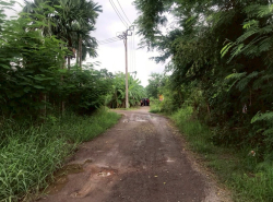 รถมือสอง อสังหาริมทรัพย์ ที่ดิน ปี 0 