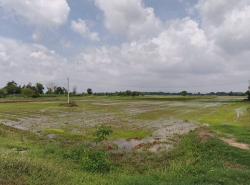 รถมือสอง อสังหาริมทรัพย์ ที่ดิน ปี 0 