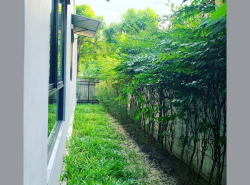 รถมือสอง อสังหาริมทรัพย์ บ้าน ปี 0 