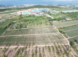 รถมือสอง อสังหาริมทรัพย์ ที่ดิน ปี 0 