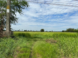 รถมือสอง อสังหาริมทรัพย์ ที่ดิน ปี 0 