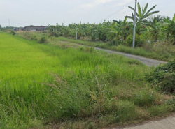 รถมือสอง อสังหาริมทรัพย์ ที่ดิน ปี 0 