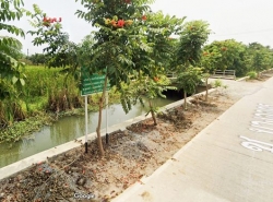 ขายที่ดินถูกมาก ติดคลอง 704 ตร.ว. ซ.บางออคร (ซ.สามพราน18) อ.นครชัยศรี 