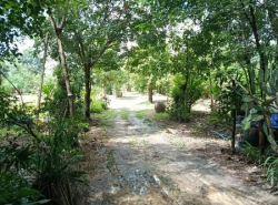 รถมือสอง อสังหาริมทรัพย์ ที่ดิน ปี 0 
