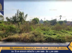 ขาย ที่ดิน ที่ดิน หนองเสือ ทำเลดี จังหวัดปทุมธานี 781 ไร่ 89 ตรว