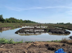 รถมือสอง อสังหาริมทรัพย์ ที่ดิน ปี 0 