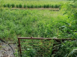 รถมือสอง อสังหาริมทรัพย์ ที่ดิน ปี 0 