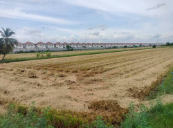 รถมือสอง อสังหาริมทรัพย์ ที่ดิน ปี 0 