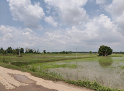 รถมือสอง อสังหาริมทรัพย์ ที่ดิน ปี 0 