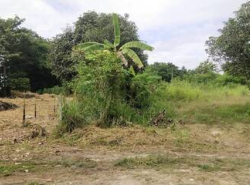 รถมือสอง อสังหาริมทรัพย์ ที่ดิน ปี 0 