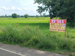 ขายที่นาราคาถูก 3-1-50  ไร่   บ้านท่ากระเสริม ต.ท่ากระเสริม อ.น้ำพอง จ.ขอนแก่น  ZE754