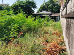 รถมือสอง อสังหาริมทรัพย์ ที่ดิน ปี 0 