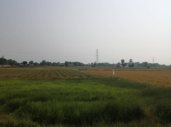 รถมือสอง อสังหาริมทรัพย์ ที่ดิน ปี 0 