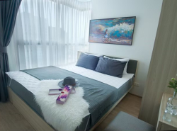 รถมือสอง อสังหาริมทรัพย์ คอนโดมิเนียม ปี 0 