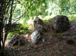 รถมือสอง อสังหาริมทรัพย์ ที่ดิน ปี 0 