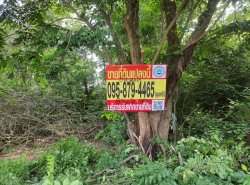 รถมือสอง อสังหาริมทรัพย์ ที่ดิน ปี 0 