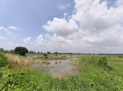 รถมือสอง อสังหาริมทรัพย์ ที่ดิน ปี 0 