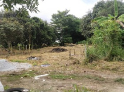 รถมือสอง อสังหาริมทรัพย์ ที่ดิน ปี 0 