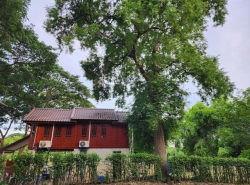 รถมือสอง อสังหาริมทรัพย์ ที่ดิน ปี 0 