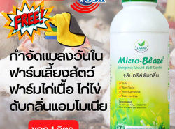 รถมือสอง ประกาศทั่วไป อื่นๆทั่วไป ปี 0 