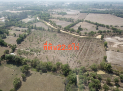 รถมือสอง อสังหาริมทรัพย์ ที่ดิน ปี 0 