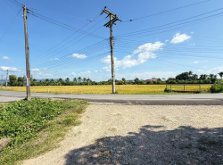 รถมือสอง อสังหาริมทรัพย์ ที่ดิน ปี 0 