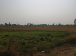รถมือสอง อสังหาริมทรัพย์ ที่ดิน ปี 0 
