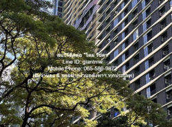Condominium เดอะ ไลน์ พหลโยธิน พาร์ค THE LINE Phahonyothin Park 1 นอน 1 น้ำ 23000 THB ไม่ไกลจาก BTS ห้าแยกลาดพร้าว ทำเลศักยภาพ เป็นคอนโดพร้อมอยู่ที่มีการตกแต่งภายในเพิ่มเติมได้แบบเรียบหรู และมีทำเลสวยสามารถมองเห็นวิวเมือง พร้อมพื้นที่ส่วนกลาง และสิ่ง